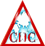 Best Dentist in Chennai